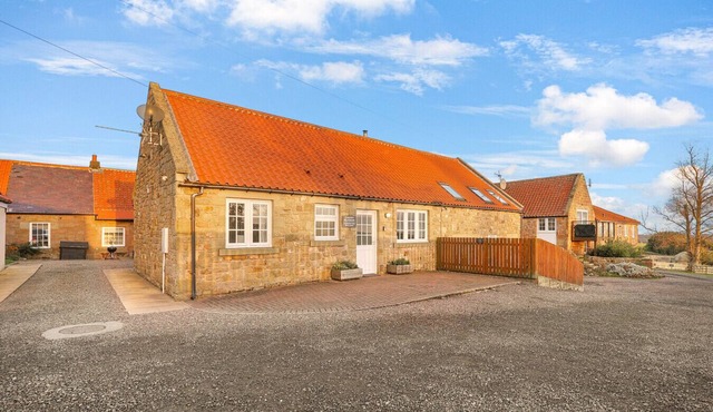 Cherry Blossom - North East Escapes