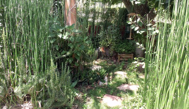 Cherry Valley Guest Cottage