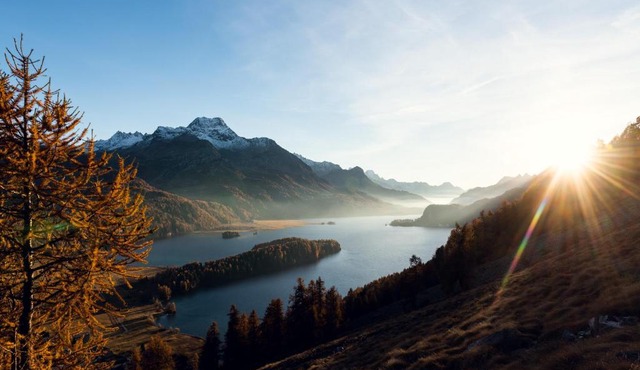 Chesa Allegra App. A