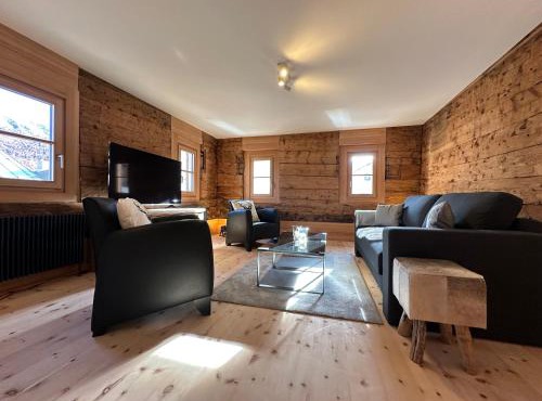 Chesa Unica - Historica