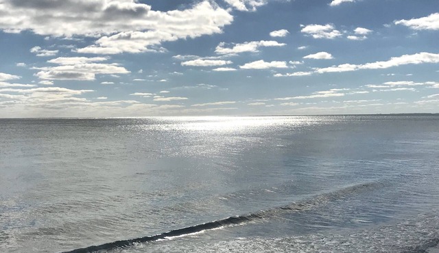 Chesapeake Bay Beach Cottage