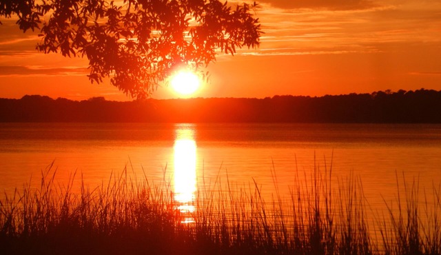 Chesapeake Bay Cottage, Private Pool, Pier and Kayaks