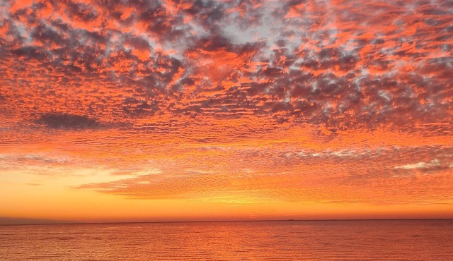 Chesapeake Bay Escape