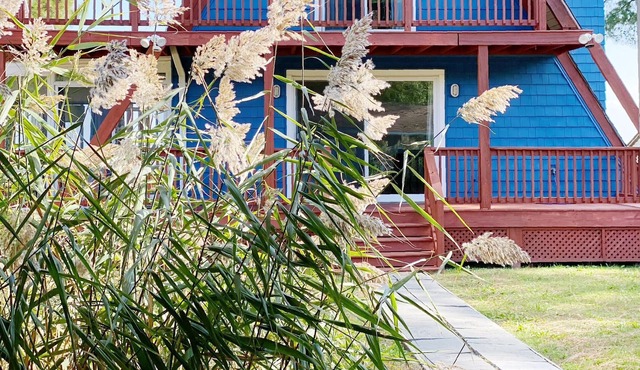 Chesapeake Bay waterfront; Private pier; Breathtaking Views!