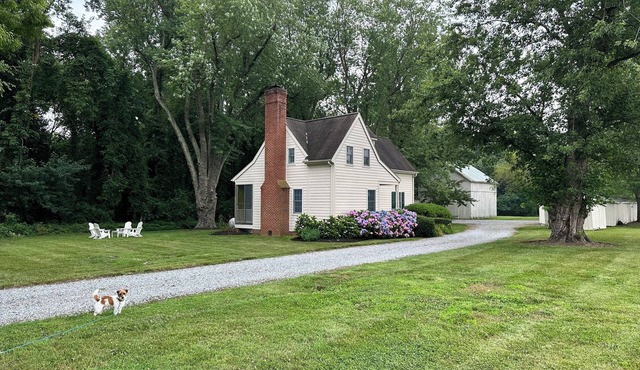 Chesapeake Eastern Shore, Chestertown MD, waterfront with shared pool and dock.