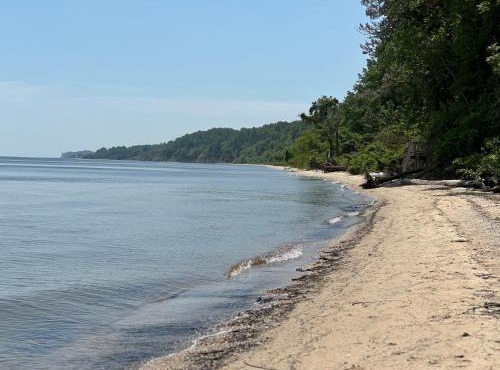 Chesapeake Holiday House