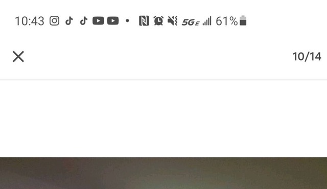 Chestnut Hill Rental Home