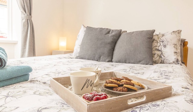 Chestnut House , Stylish House center Exeter