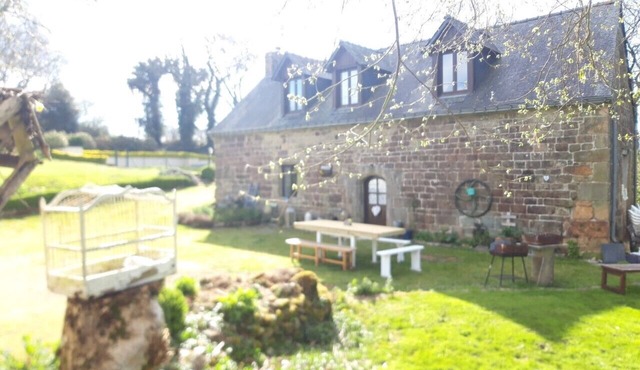 -Chestnut - La Châtaigne-