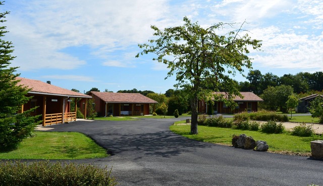 Chestnut La Clef des Champs17500