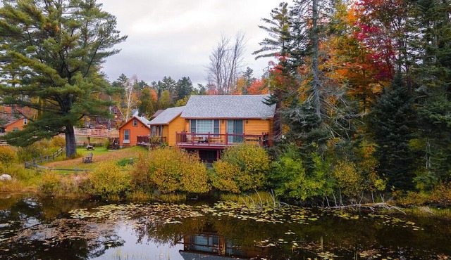 Chestnut Premier #14, Lakefront Serene Escape Cabin