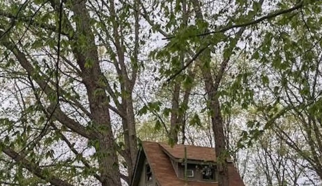 Chestnut Ridge Tree House