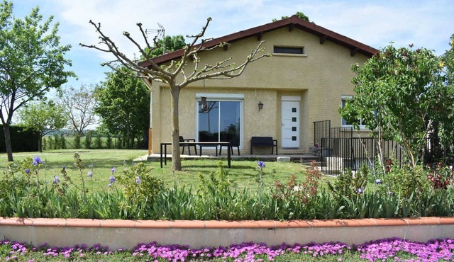 Chez Cathy - LISLE SUR TARN