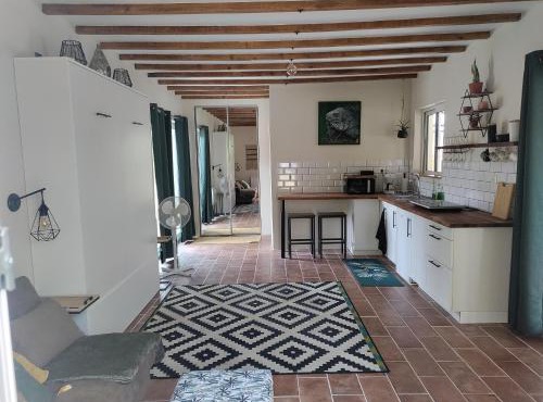 Chez Chapelle in the heart of the Gascony with pool, pets welcome!