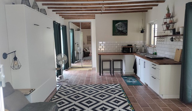 Chez Chapellecountry living in Auch with pool. Pets welcome!