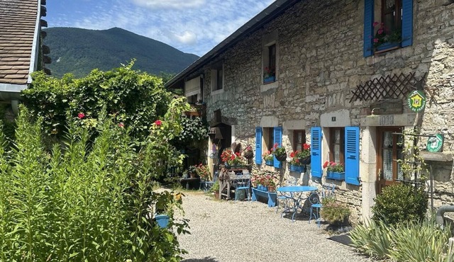 Chez Fefe - Contrevoz