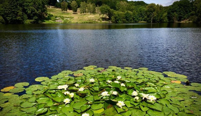 Chez Fenz Ferm et Gite