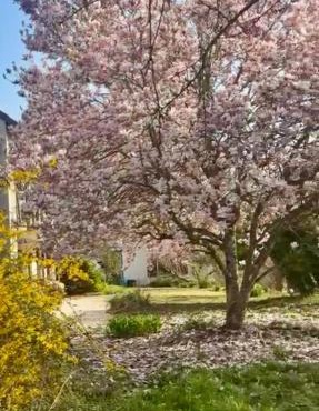 Chez ISA, Havre de Paix Bucolique a proximité de St Aignan et du Parc de Beauval 5km