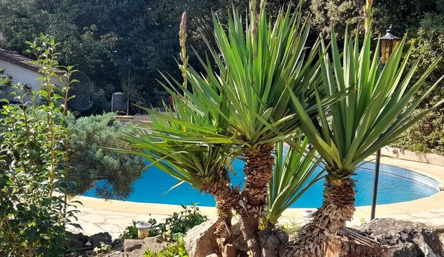"Chez Jeannot" Spacious housing 53m ² quiet