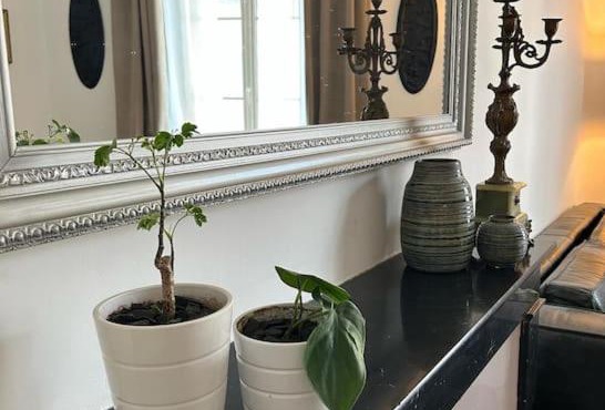 Chez La Vieille Dame