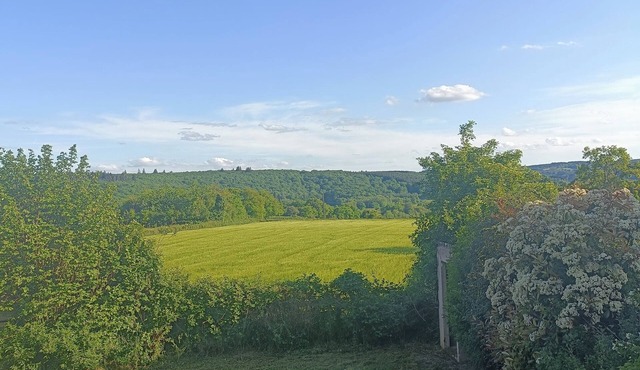 Chez Lathoy studio Morvan