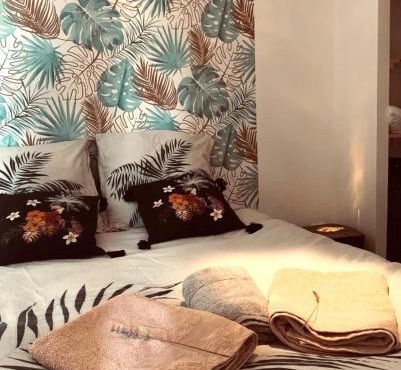 chez LULU appartement neuf au coeur de cozzano