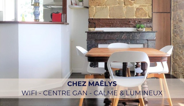 Chez Maëlys ~ Centre Gan - Calme ~ Idéal Famille