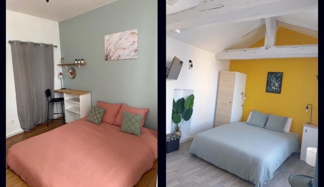 Chez Mary Studio -Jungle et Nature