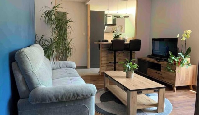 Chez Mathias bright apartment ~ private garage