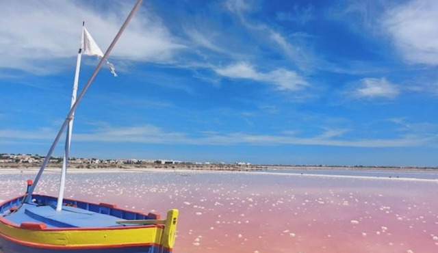 Chez Nicolle et Jean - House near Narbonne