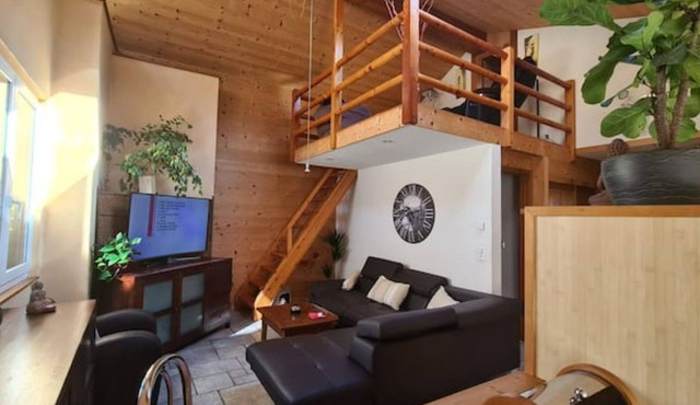 Chez Pewee beautiful duplex with terrace in town. Private park, pets allowed