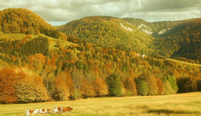 Chez Philippe" lookout - Nature Park