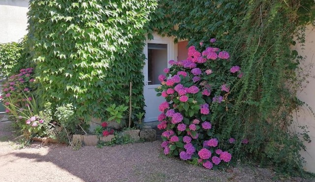 Chez Rolando Studio cosy