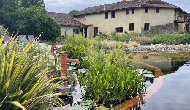 ChezLeMoulin, a 19th Century Mill and Boulangerie in a Beautiful Peaceful Valley