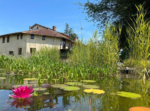 ChezLeMoulin-Boulangerie
