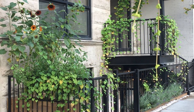 Chic 2-bedroom apartment in welcoming Lincoln Park area of Chicago with AC, WiFi