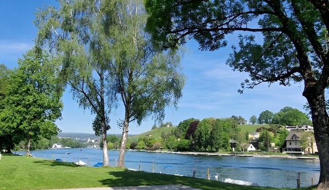 Chic 3 room apartment near the Rhine, S-Bahn and much more