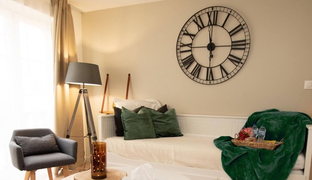 Chic & Confort-30m2-centre Ville