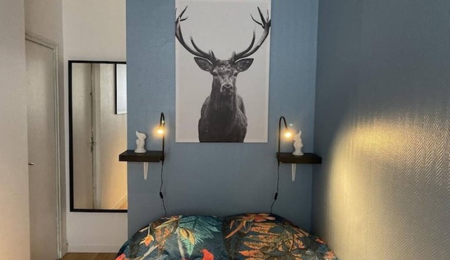 Chic & Cosy F1 Centre Gare Chateaucreux Netflix