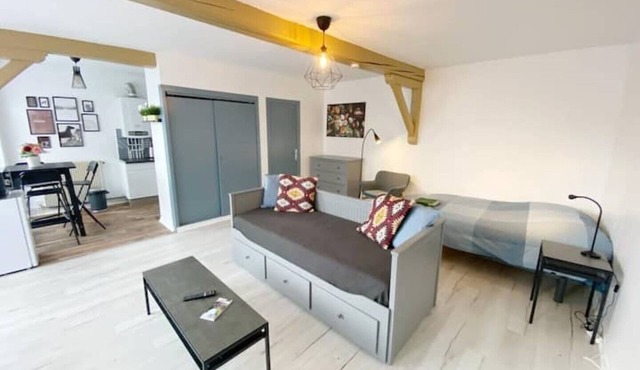 CHIC & COSY Studio BUSINESS Centre GARE NETFLIX