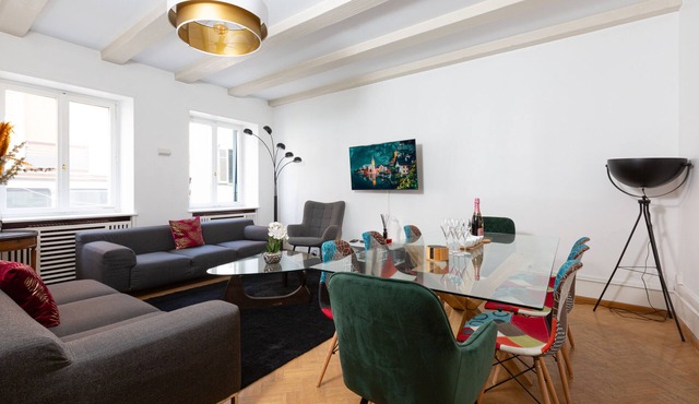 Chic & cozy - 2 apartments with 4 bedrooms + dormitory - heart historical center