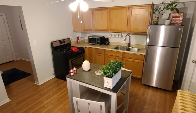 Chic, Cozy home, by Blue Line Train Stop + Free parking