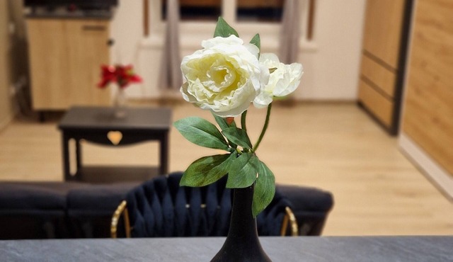 Chic & Design 3-person studio near downtown Thonon-Les-Bains