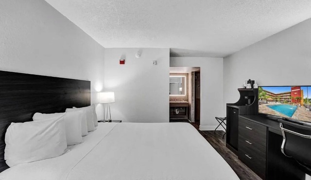 Chic Downtown Haven near Hollywood Beach Broadwalk! 2 Relaxing Units!