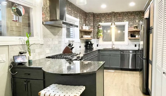 Chic Entire home for Large Groups - Chicago - Bucktown