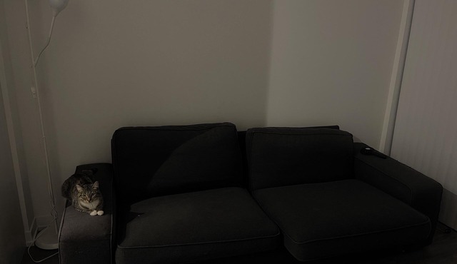 "Chic Retreat: Pet & Smoke-Friendly, Balcony Views, Prime Location!"