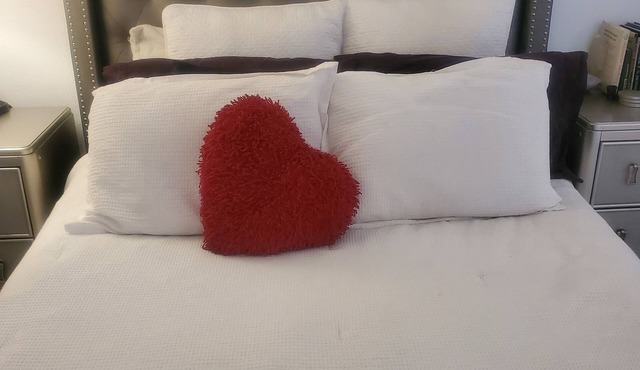 Chic Upscale duplex in the heart of the city