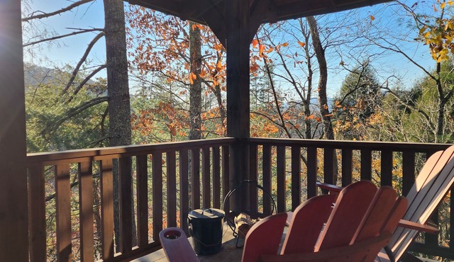 Chickadee’s Hatch | 2-Story Cabin w/Jetted Tub + Biltmore Pass