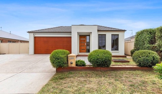 Chifley Place - Large Open Plan Living