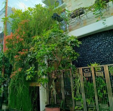 ChiGhaya Guest House